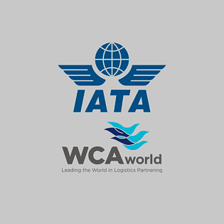 LT Logistic член международных организаций IATA и WCA
